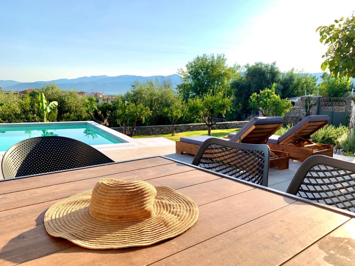 The Backyard Villa